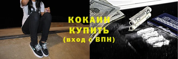 первитин Богданович