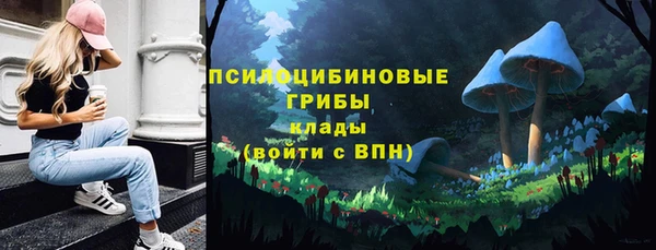 первитин Богданович