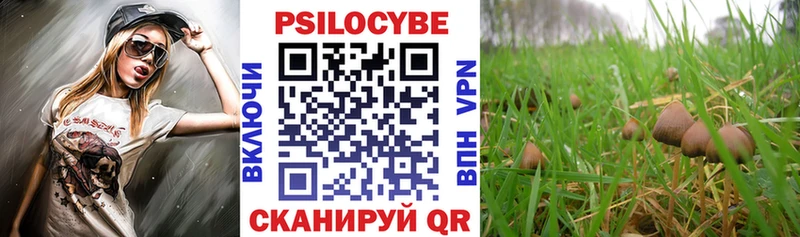 Галлюциногенные грибы GOLDEN TEACHER  ссылка на мегу рабочий сайт  Елизаветинская  где купить наркоту 